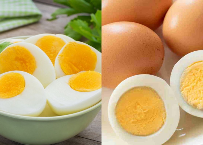 Sumber Protein Berkualitas Tinggi Inilah 7 Manfaat Telur Rebus Bagi Kesehatan Tubuh Yang Harus Kalian Tahu! 