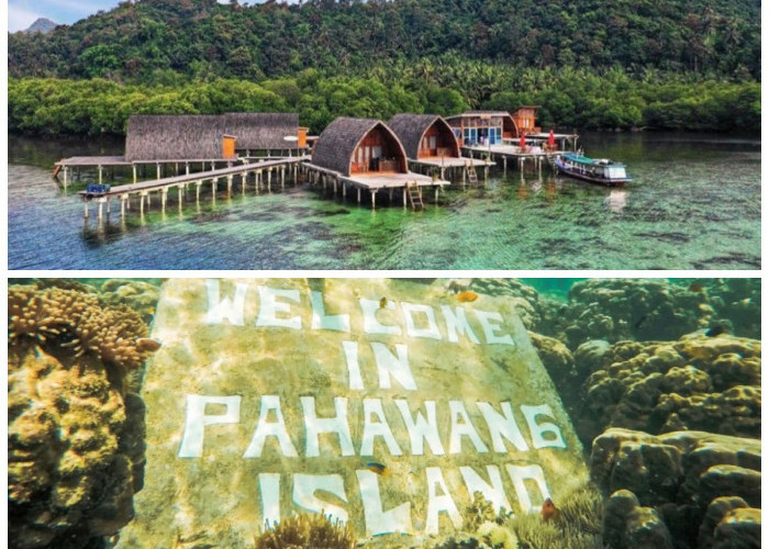 Pulau Pahawang, Permata Tersembunyi di Lampung dengan Panorama Bawah Laut yang Memukau