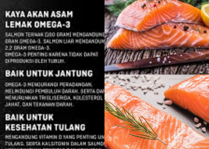 Sudah Tahu? 5 Manfaat Salmon untuk Kesehatan yang Wajib Kamu Coba!