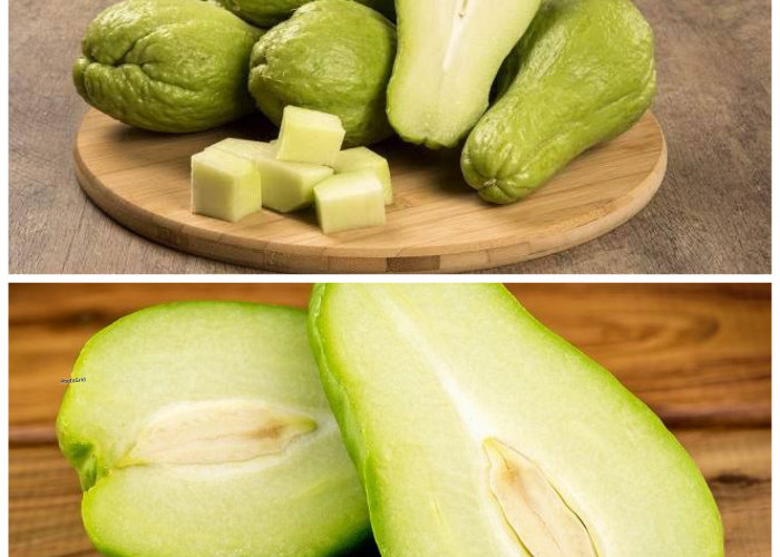 Mengungkap 9 Manfaat Labu Siam bagi Kesehatan Tubuh: Sayuran Sederhana dengan Segudang Khasiat!