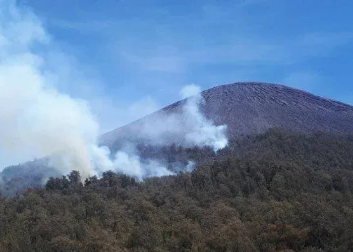 Mengungkap Misteri Gunung Kepolo: Sejarah dan Kepercayaan yang Mengelilinginya