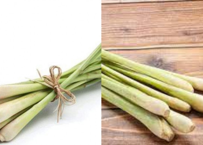 Manfaat Sereh untuk Kesehatan: Herbal Murah dengan Segudang Khasiat!