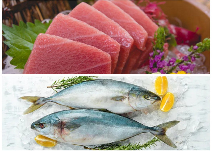 Rahasia Kesehatan Ikan Tuna yang Belum Banyak Diketahui!