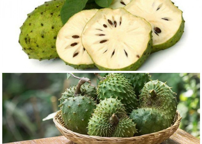 Mengupas Manfaat Buah Sirsak untuk Kesehatan: Superfood yang Wajib Dicoba