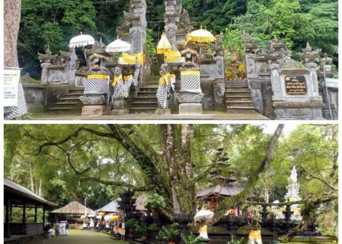 Menguak Fakta Sejarah Pura Bukit Sinunggal: Jejak Spiritualitas di Tengah Alam Sentral Bali!