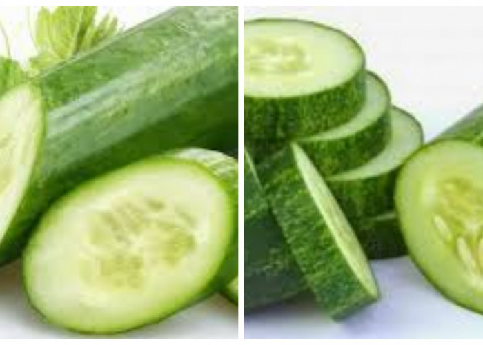 Manfaat Timun yang Baik Bagi Kesehatan dan Kecantikan