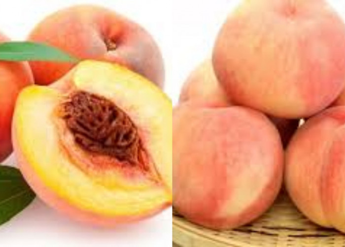 Wajib Tahu 8 Manfaat Buah Persik Bagi Kesehatan Yang Lauar Biasa!