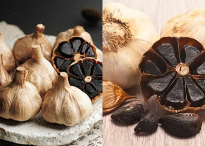 Beragam Manfaat Bawang Putih Bakar Yang Harus Kalian Ketahui! 