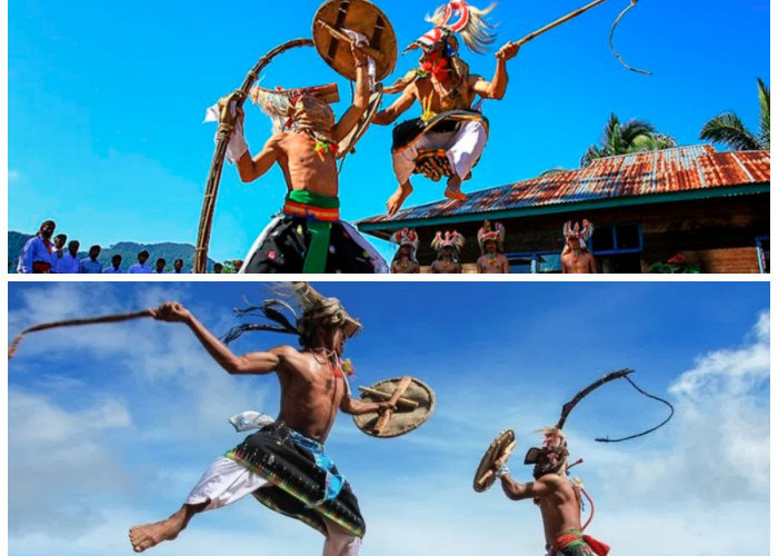 Sejarah dan Makna Tari Caci: Warisan Budaya Manggarai yang Menjadi Simbol Keberanian dan Identitas Lokal
