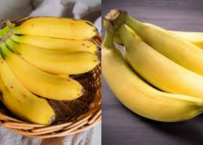 Yuk Intip! Inilah Manfaat Kesehatan Pisang Ambon Untuk Kesehatan
