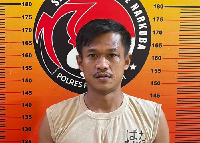 Pengedar Daun Setan di Pagar Alam Dibekuk Polisi 