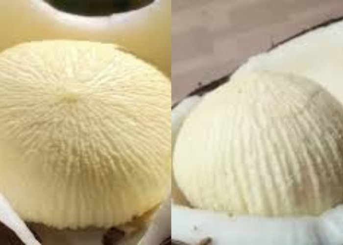 Ini Dia Guys Manfaat Kentos Kelapa Bagi Kesehatan Tubuh Yang Luar Biasa!