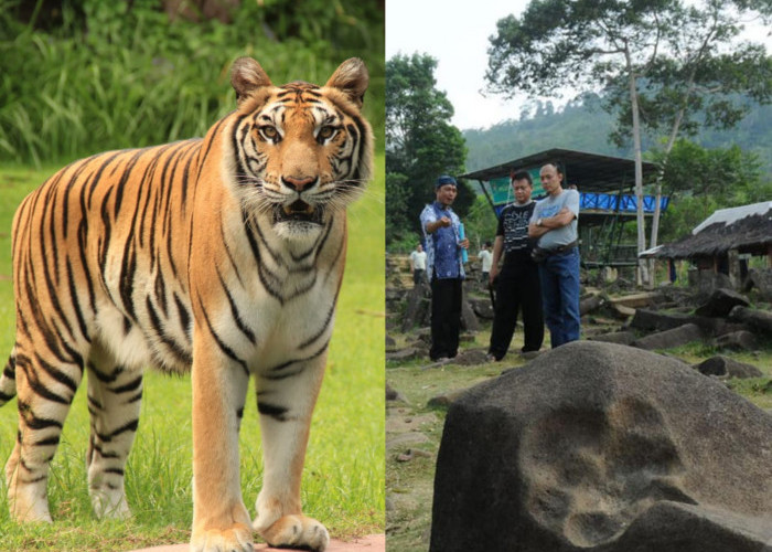 Tapak Harimau Gunung Padang, Merupakan Keajaiban Tersembunyi Situs Tanah Air? Simak Disini 