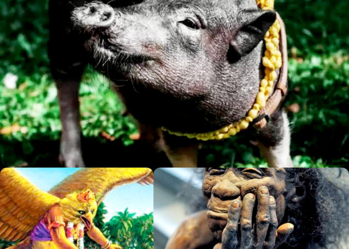 5 Makhluk Mitologi Indonesia Ini Sering Digunakan dalam Praktek Ilmu Hitam. No 1 Bisa Cari Duit?