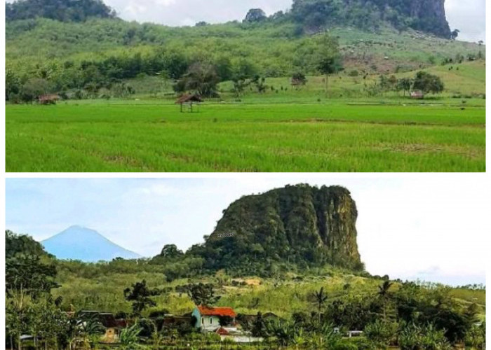 Gunung Gajah di Pemalang, Jejak Sejarah yang Tersembunyi di Balik Kabut Pegunungan