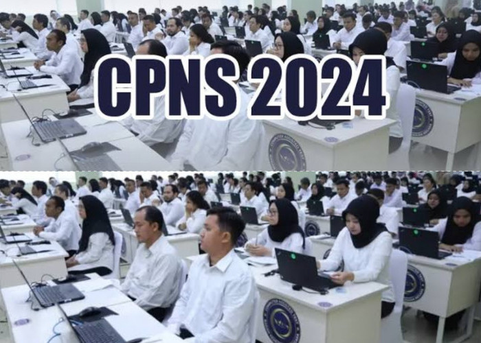 Bagaimana Cara Lolos CPNS 2024? Ini 10 Tips Praktis yang Bisa Kamu Coba!