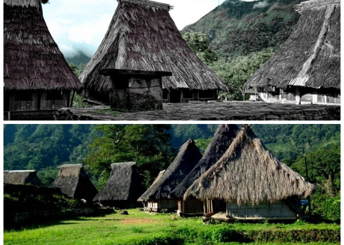 Desa Wologai: Warisan Budaya Suku Lio yang Tetap Lestari di Tengah Modernisasi