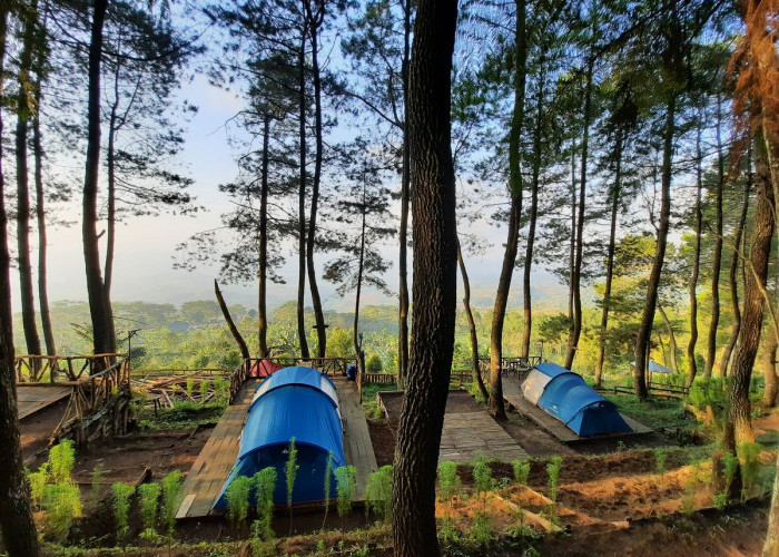 Miliki Trek yang Mudah! Inilah Rekomendasi Tempang camping di Kuningan yang Wajib Kamu Kunjungi 