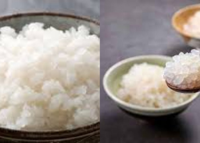 Ganti Nasi dengan Shirataki? Ini Manfaat Sehat Yang Harus Kamu Tahu