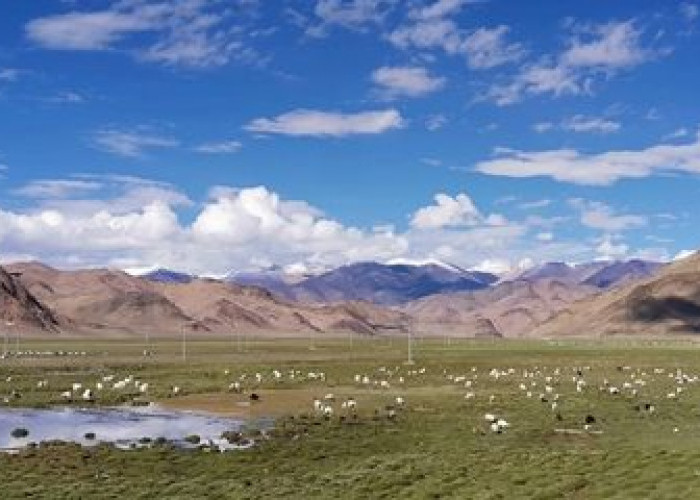 Menelisik Kehidupan Orang Tibet Kuno, Menghuni Atap Dunia