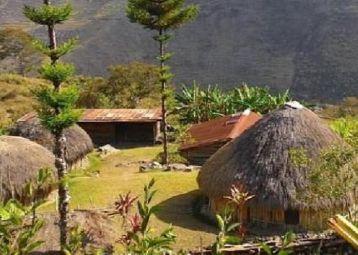 3 Rumah Adat Suku Papua Yang Miliki Bentuk Unik dan Filosofi yang Bermakna 