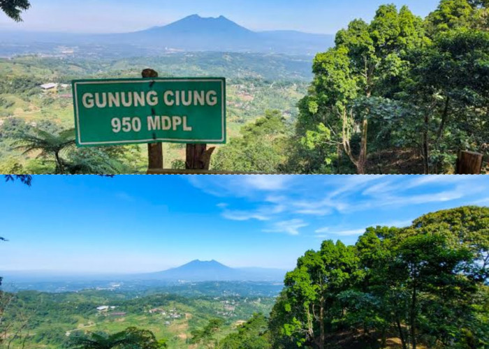 Pesona Gunung Ciung, Tempat Camping dengan View Alam yang Memanjakan Mata