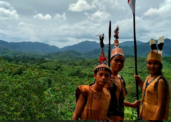 Mengapa Hutan Kalimantan Begitu Penting bagi Suku Dayak? Temukan Jawabannya!