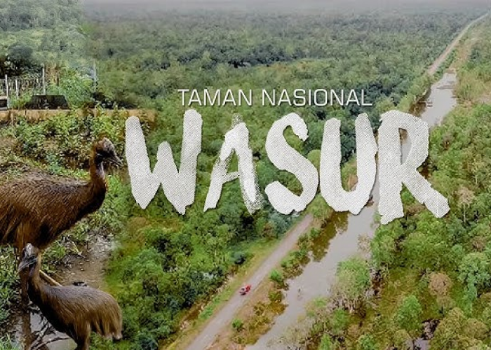 Pesona Alam dan Budaya Papua Barat, 9 Tempat Wisata yang Punya Pemandangan Eksotis!