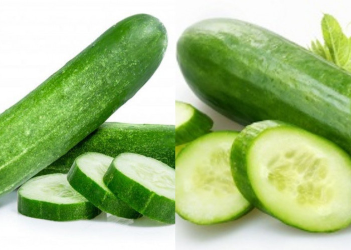 Timun Solusinya Darah Tinggi, Ini Manfaat dan Tips Mengolahnya!