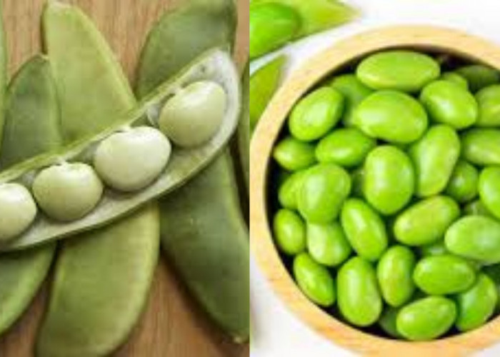  Inilah Manfaat Kacang Lima Untuk Kesehatan Yang Jarang Diketahui!