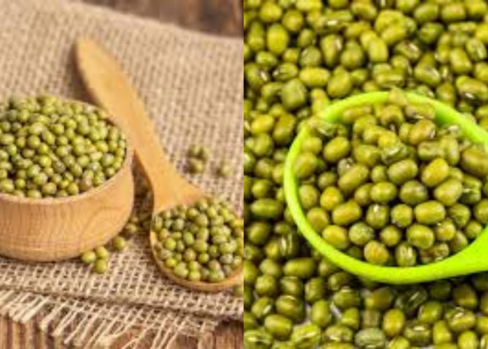 Yuk Intip! 8 Manfaat Kacang Hijau Yang Sayang Untuk Dilewatkan
