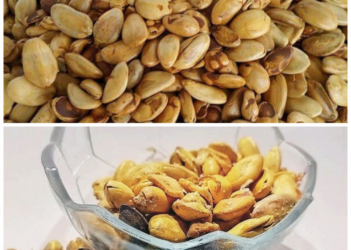 Tak Banyak Diketahui, Inilah Beragam Khasiat Buah Kedawung bagi Kesehatan yang Menakjubkan