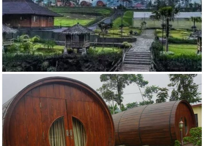Cottage D’Las, Destinasi Menginap Bernuansa Alam di Desa Wisata Serang Purbalingga