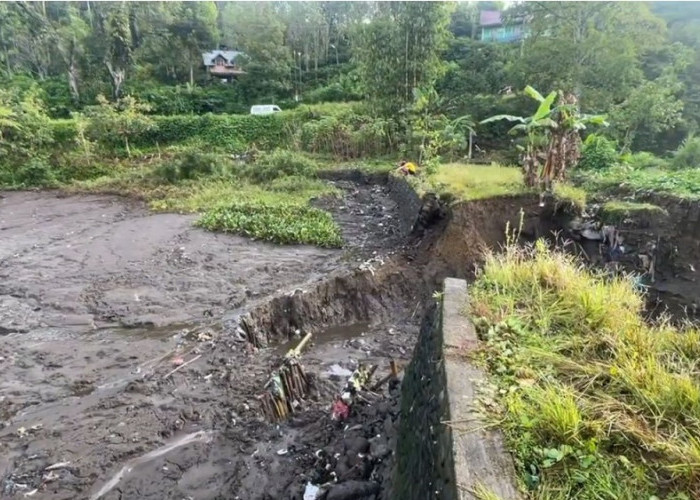 Tanggul Irigasi Bumi Agung Jebol, Ratusan Hektar Lahan Pertanian Terancam Tak Ada Pasokan Air
