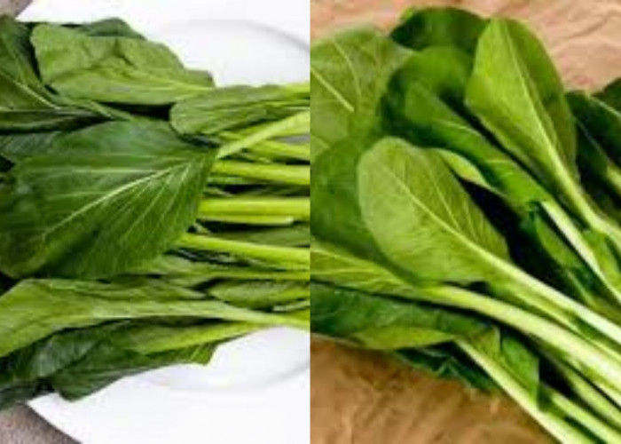 Yuk Intip! Berbagai Manfaat Sawi Hijau Untuk Kesehatan Tubuh Ini Penjelasanya