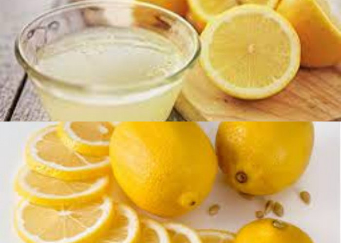 Mampu Jaga Kesehatan! Inilah Khasiat Baik Buah Lemon Untuk Tubuh 