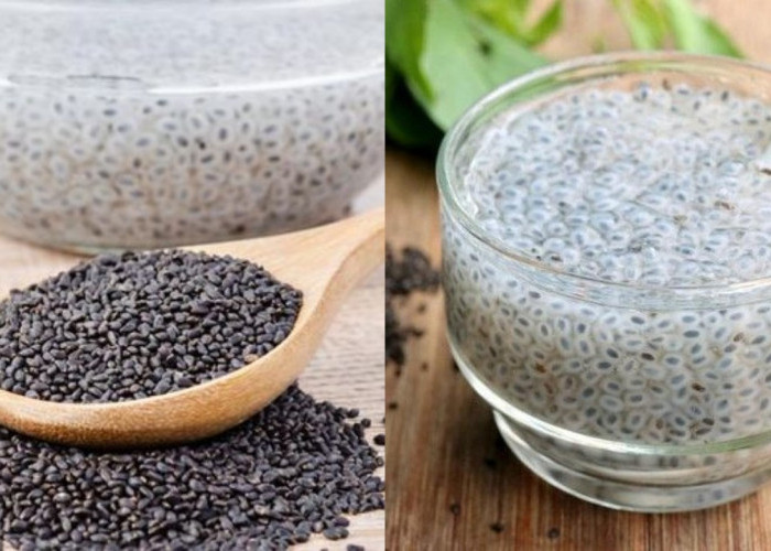 Manfaat Biji Selasih bagi Kesehatan Tubuh yang Jarang Diketahui!