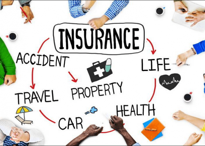 Jenis-jenis Asuransi: Panduan Lengkap untuk Melindungi Aset dan Kesejahteraan Anda