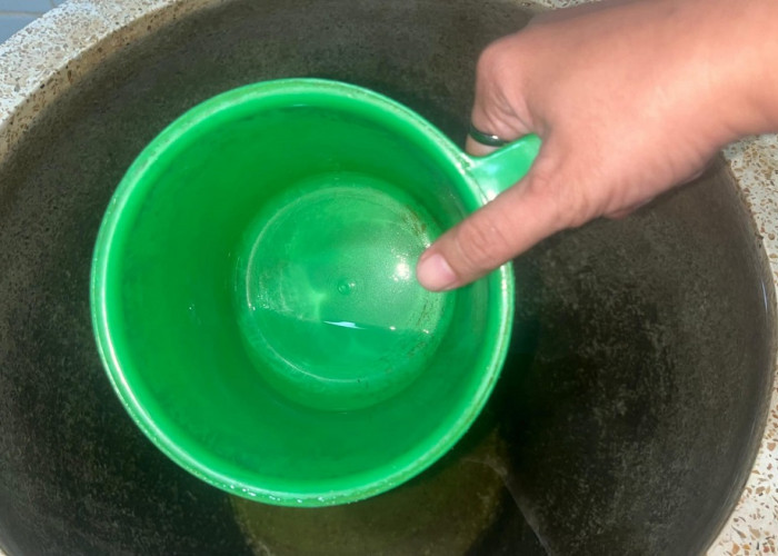 Rekam 723 Kasus DBD di Sumsel, Empat Pasien Dilaporkan Meninggal Hingga Maret 2026