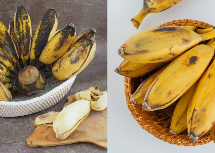 10 Keistimewaan Pisang Kepok yang Patut Diketahui!