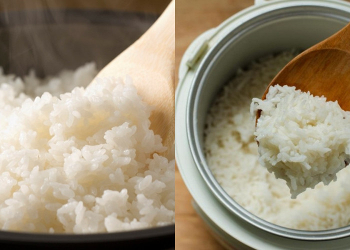 Tips Agar Nasi Tidak Menguning dan Berbau Setelah Dimasak di Rice Cooker