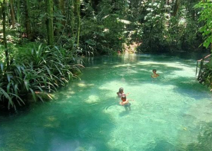 Tak Hanya Raja Ampat! inilah 4 Destinasi Wisata Liannya yang Tak Kalah Memukau di Papua Barat