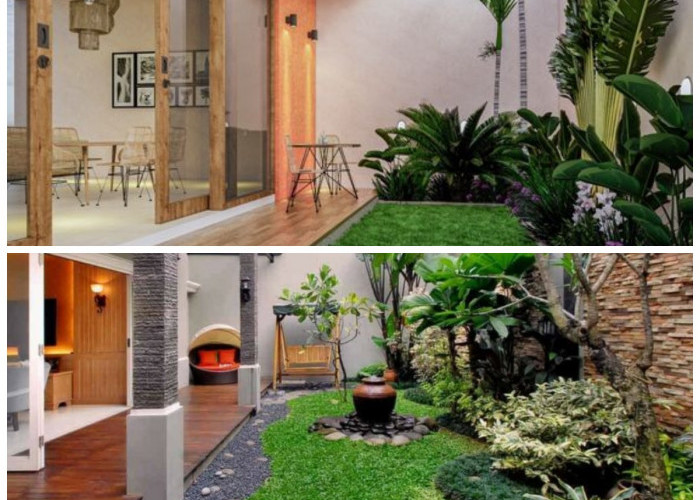 Taman Belakang Minimalis Modern: Desain Rapi, Perawatan Mudah, Tetap Esteti