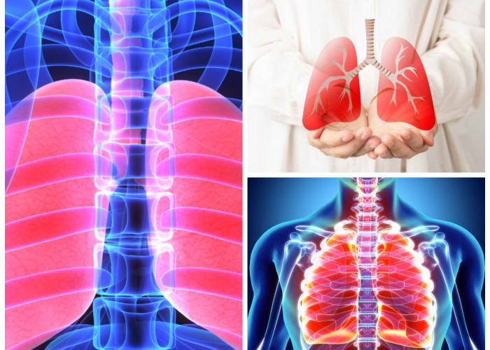Panduan Sehat: 8 Cara Menjaga Paru-Paru Tetap Bersih dan Kebiasaan yang Harus Dijauhi!