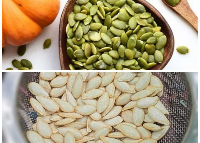 Manfaat Biji Labu untuk Kesehatan: Kaya Nutrisi dan Penuh Khasiat