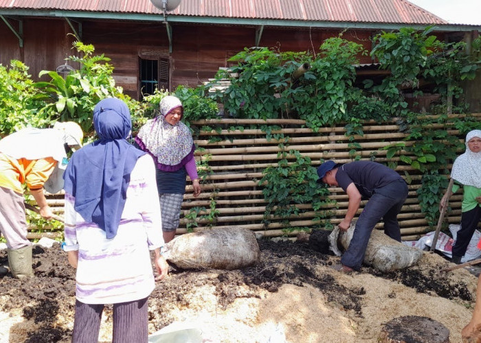  Berkolaborasi Kuatkan Sektor Pertanian, Begini Peran Wanita Tani di Kelurahan Pagar Wangi!