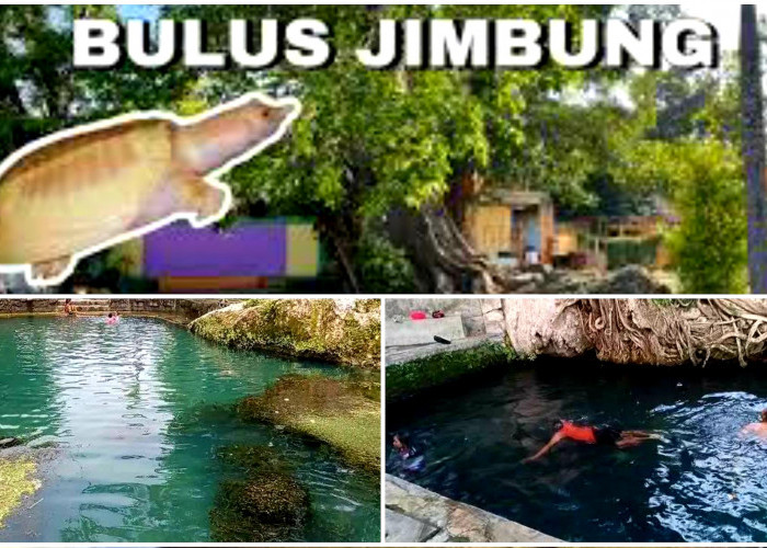 Benarkah Sendang Bulus Jimbung Adalah Tempat Suci yang Dijadikan Ritual Pesugihan? Ini Faktanya!