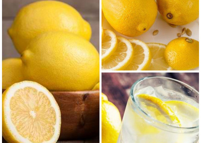 Jika Kalian Miliki Penyakit Jantung, Coba Manfaatkan Buah Lemon yang Kaya Akan Khasiat!