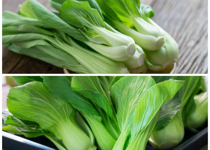 Mengenal 8 Manfaat Pakcoy, Sayuran Hijau Kaya Nutrisi untuk Kesehatan