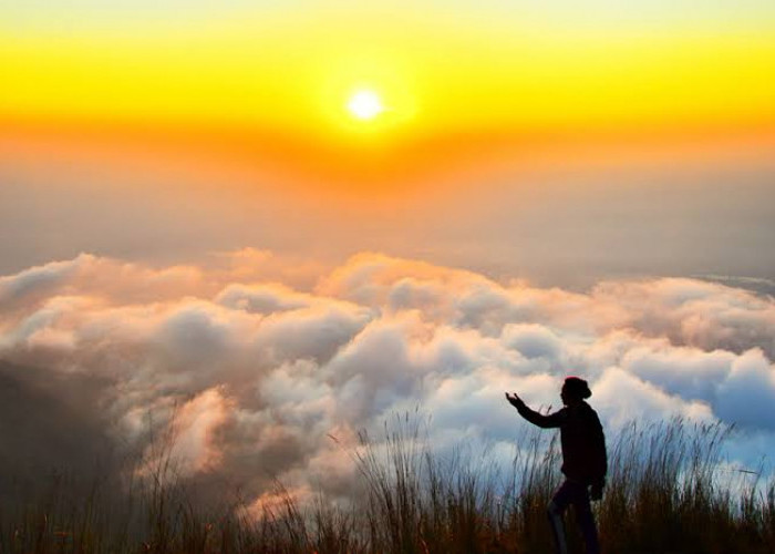 Melihat Lebih Dekat, 7 Hal Menarik yang Perlu Diketahui tentang Gunung Guntur